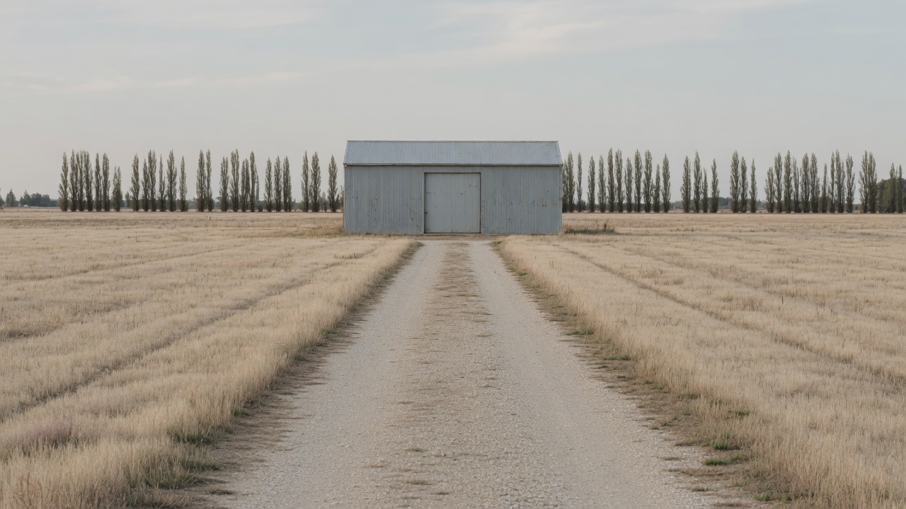 A generated picture of a plain iron shed standing alone at the far end of a long straight gravel farm track, with poplars behind it.